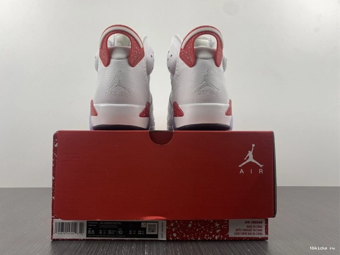 Reps TB CT8529-162 Hare Jordan 6 Retro 0629